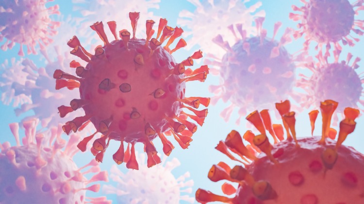 ausbreitung von coronaviren in menschlichen zellen in 3d dargestellt