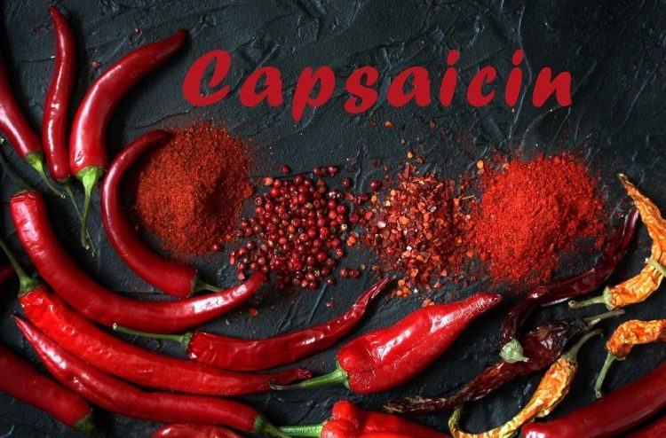 capsaicin in chili als wichtige komponente in der gesunden ernährung für längeres leben