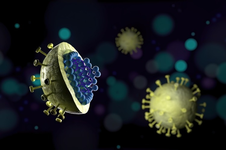 forschung von hiv virus und gegenwirkung durch genetisch veränderte immunzellen