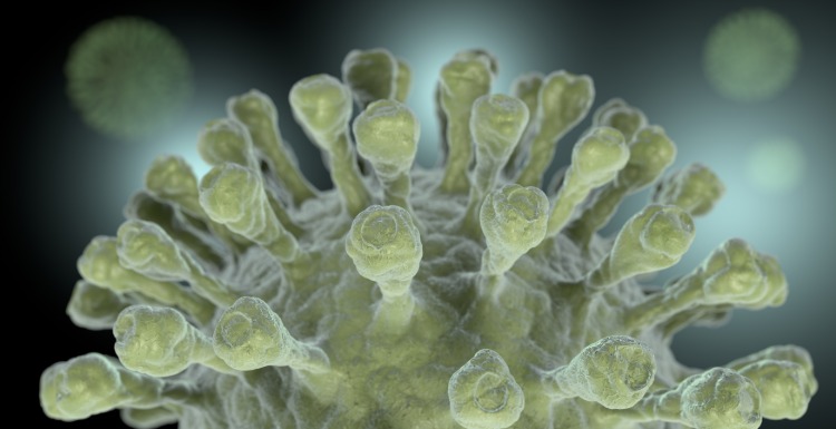 mutierte viren bei coronavirus verändern spike protein und ermöglichen eindringen in zellen