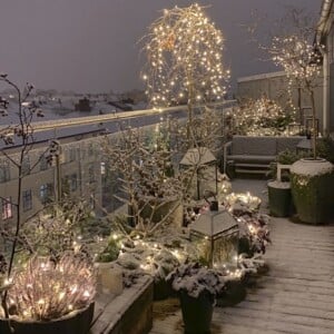 pflanzen balkon winterhart mit lichterketten geschmückt