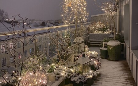 pflanzen balkon winterhart mit lichterketten geschmückt