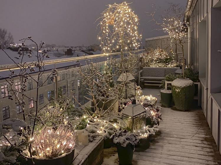 pflanzen balkon winterhart mit lichterketten geschmückt