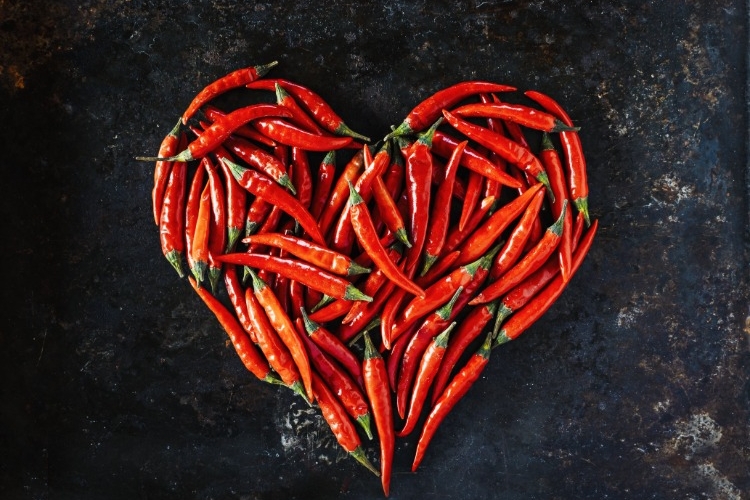 scharfe paprika oder lange chilishoten formen ein herz als symbol gegen kardiovaskuläre erkrankungen