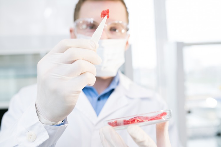 wissenschaftler analysiert eine probe rotes fleisch im labor