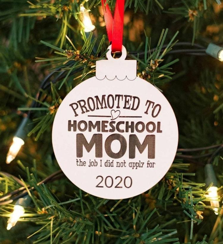 Der Job, für den ich mich nicht beworben habe - Homeschool Mama 2020