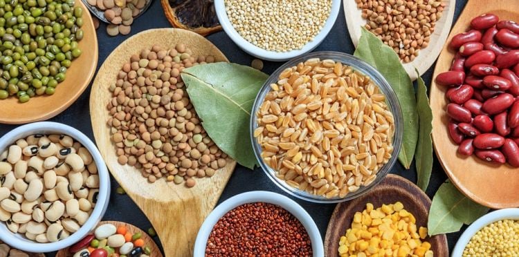 Food Trends 2021 Biodiversität - Statt Monokulturen vielfältige Produkte anbauen