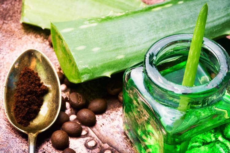 Gurkensaft Wirkung Hautpflege Tipps Aloe Vera Gesichtsmaske selber machen
