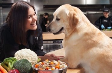 Hundefutter selber zubereiten Tipps Keto Diät für Hunde bei Krebs
