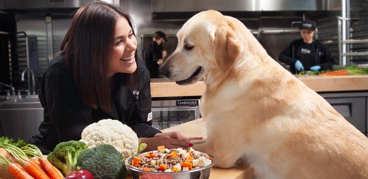 Hundefutter selber zubereiten Tipps Keto Diät für Hunde bei Krebs