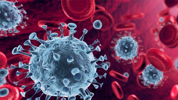 coronavirus repliziert sich in der menschlichen blutbahn