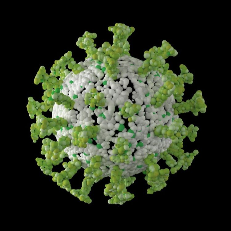 detaillierte darstellung von spike proteinen des coronavirus in grüner farbe