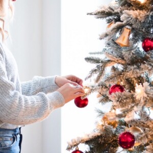 echte Weihnachtsbäume kaufen nachhaltige und umweltfreundliche Variante