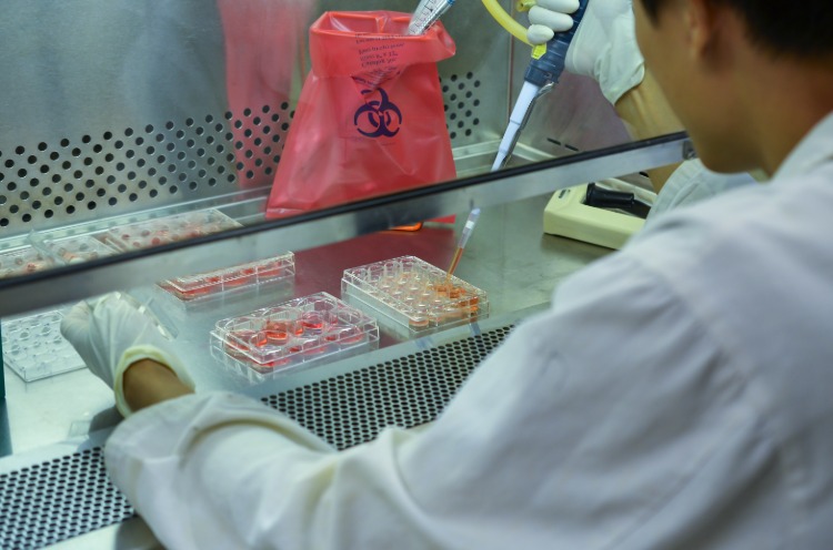 forscher im labor bearbeitet biologische proben mit coronavirus