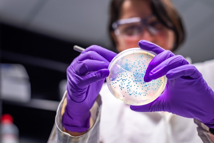 forscherin analysiert bakterien im reagenzglas aufgrund einer meningokokken krankheit