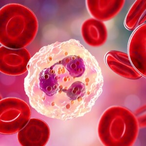 nanopartikel in der blutbahn durch neutrophile lösen bei blutvergiftung immunantwort aus