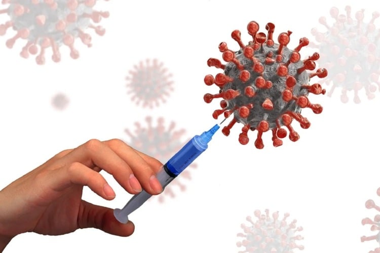 neu entwickelte impfung gegen coronavirus aus altem wirkstoff gegen zika virus und dengue fieber