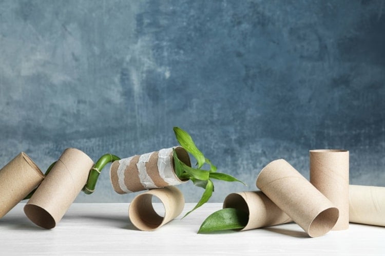 Bambus Klopapier ohne Folie als Verpackung ist umweltfreundlicher