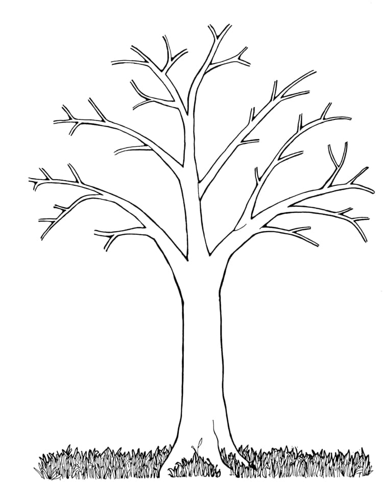 Baum als Vorlage zum Schmücken mit Laub aus Anspitzresten