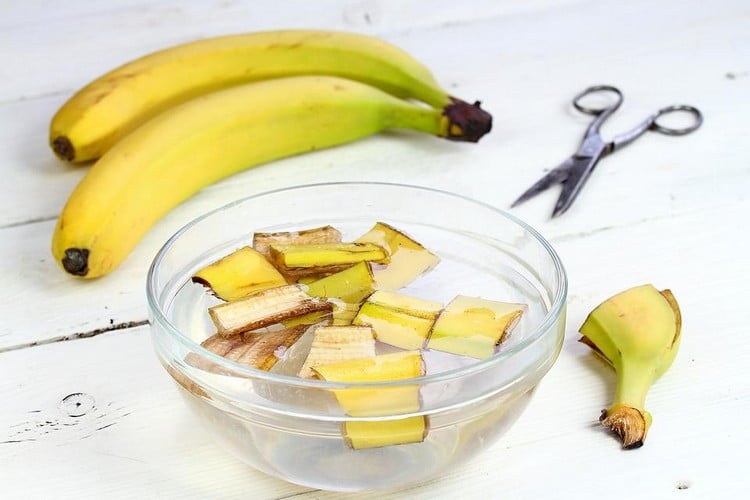 Dünger aus Bananenschalen selber machen kleinschneiden