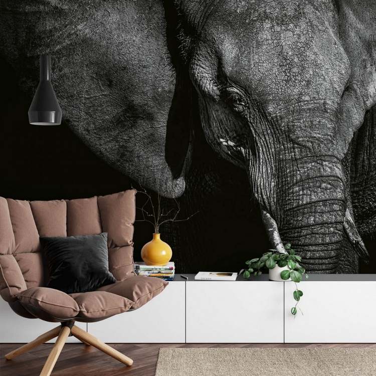 Fototapete Schwarz Weiss Elephant fürs moderne Wohnzimmer