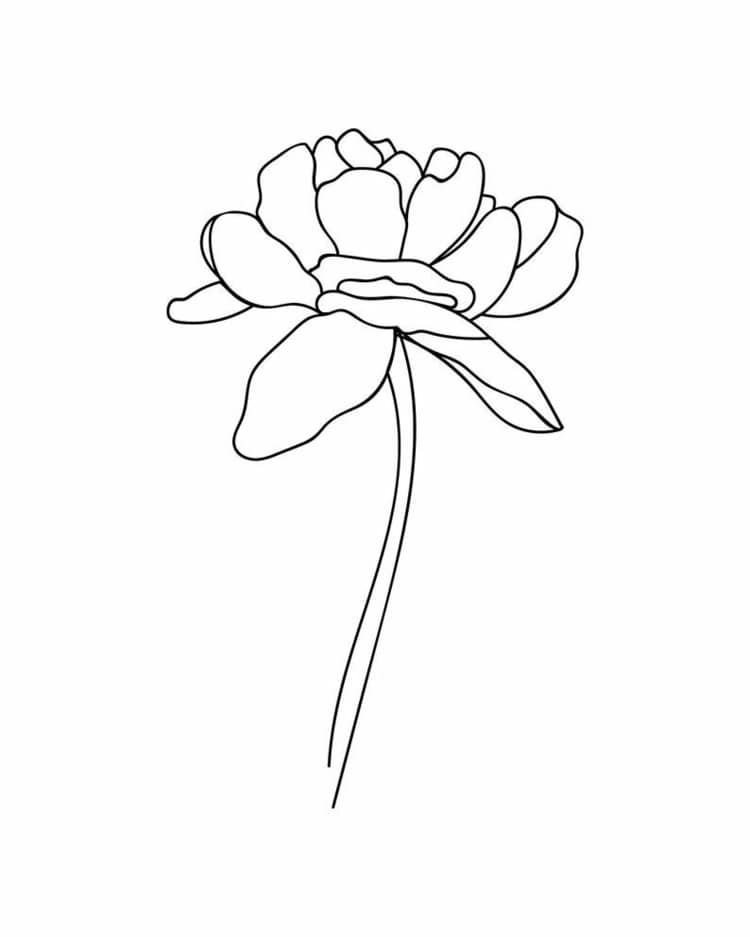 Zeichnungen vorlagen blumen Blumenvase