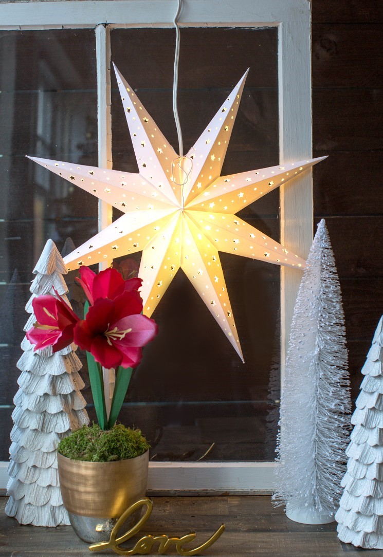 Winter Dekoration nach Weihnachten mit Blumen und Papierstern