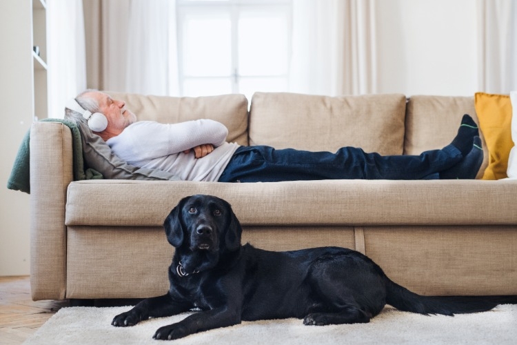 älterer mann mit kopfhörern liegt zufrieden auf einem sofa neben seinem hund
