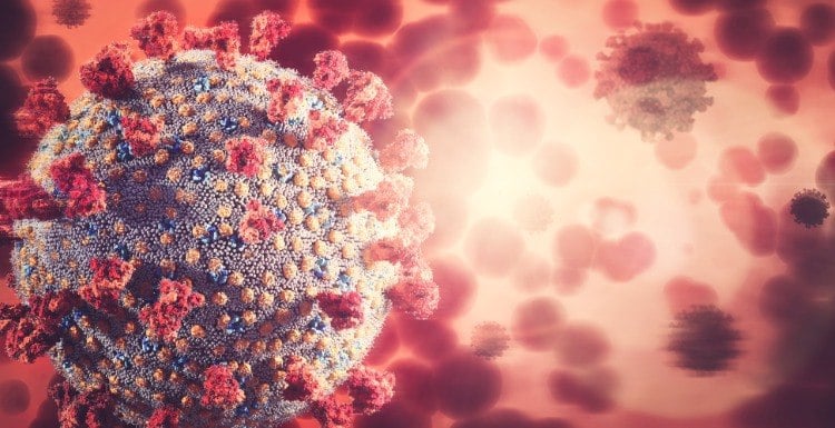 mikroskopische darstellung und myeloide zellen des immunsystems bei infektion mit coronaviren
