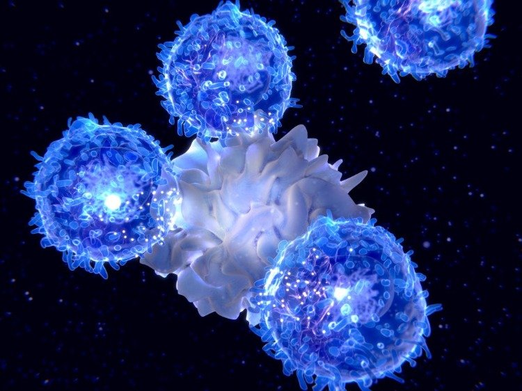t helferzellen bieten immunantwort gegen viren wie sars cov 2