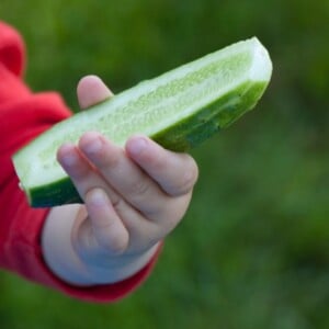 vegetarische diät für kleinkinder mit gurke und anderem gemüse