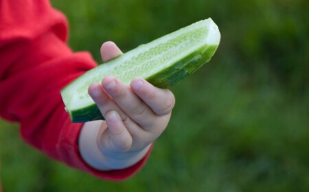 vegetarische diät für kleinkinder mit gurke und anderem gemüse