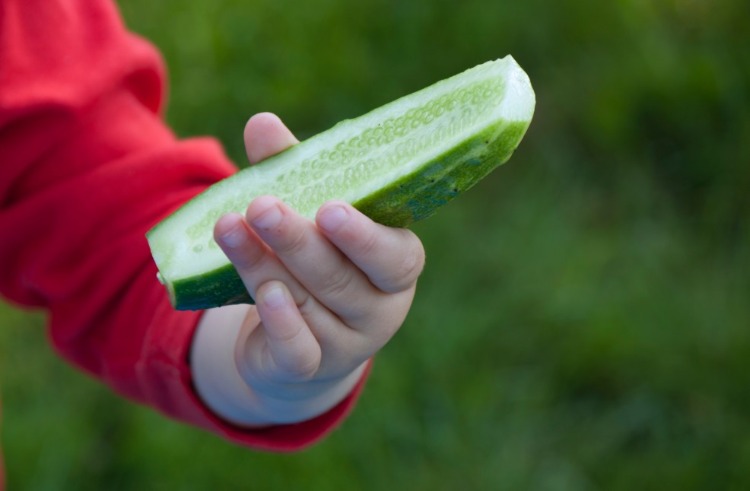 vegetarische diät für kleinkinder mit gurke und anderem gemüse
