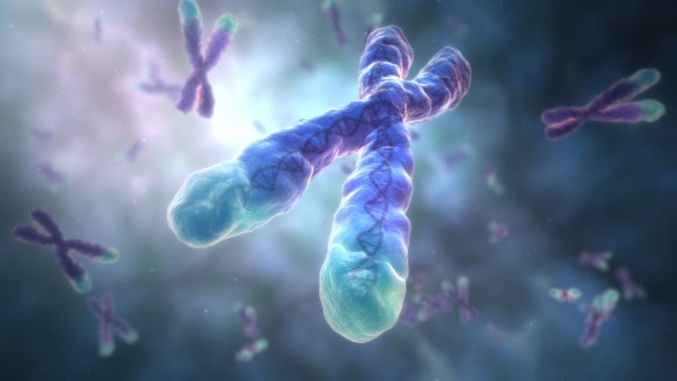 verkürzte telomere mit steigendem alter als gründ für schweren krankheitsverlauf bei covid 19