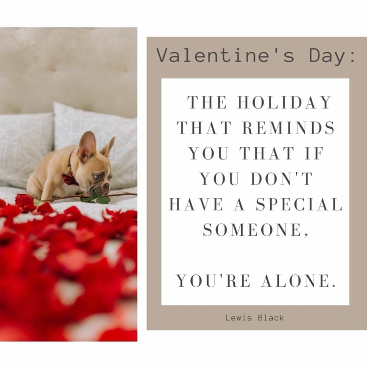 Anti-Valentinstagsspruch - Ein Tag, der dich daran erinnert, dass du niemand Besonderen in deinem Leben hast