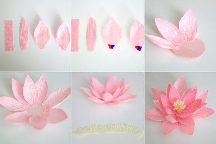 Blumen aus Krepppapier basteln - Hübsche und simple Seerose in Rosa