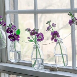 DIY Fensterdeko Frühling Glasflaschen Vasen Girlande