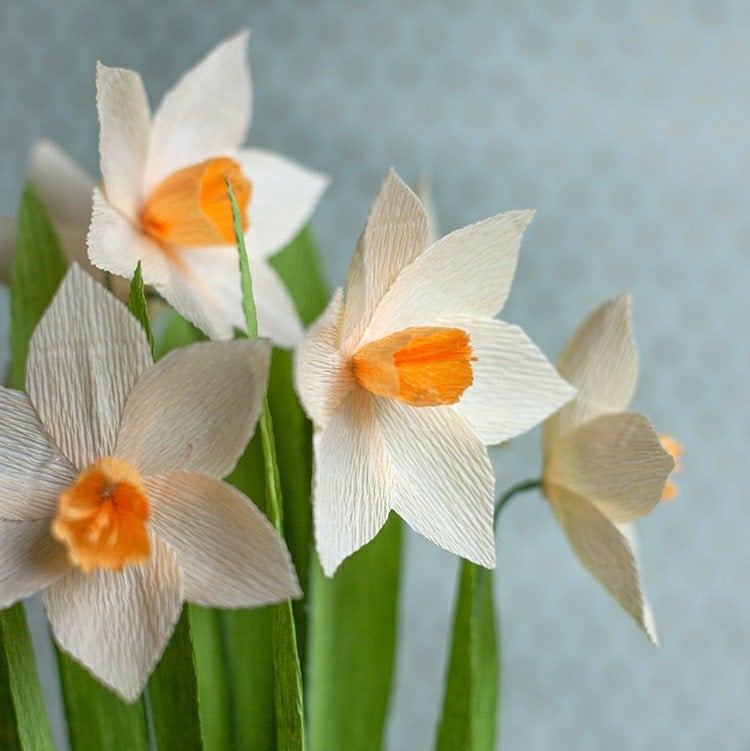 Frühlingsblumen basteln aus Krepppapier - Osterglocke in weiß oder gelbe Narzissen