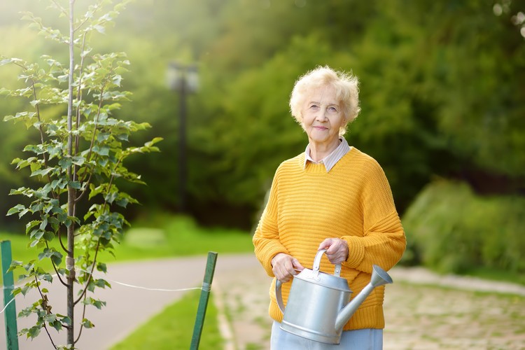 Gärtnern macht gesund Gartentherapie bei Demenzpatienten