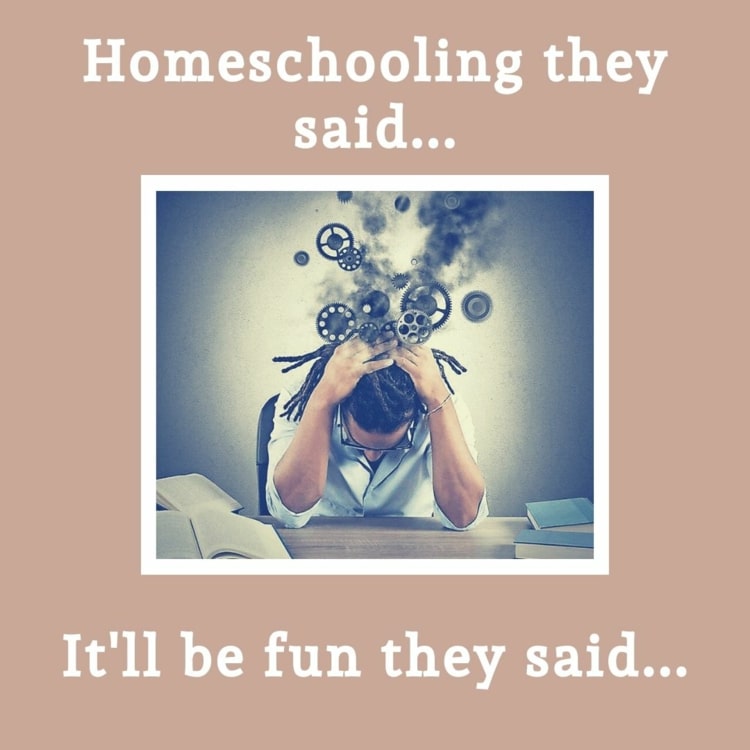 Homeschooling Sprüche zum Versenden - It'll be fun they said