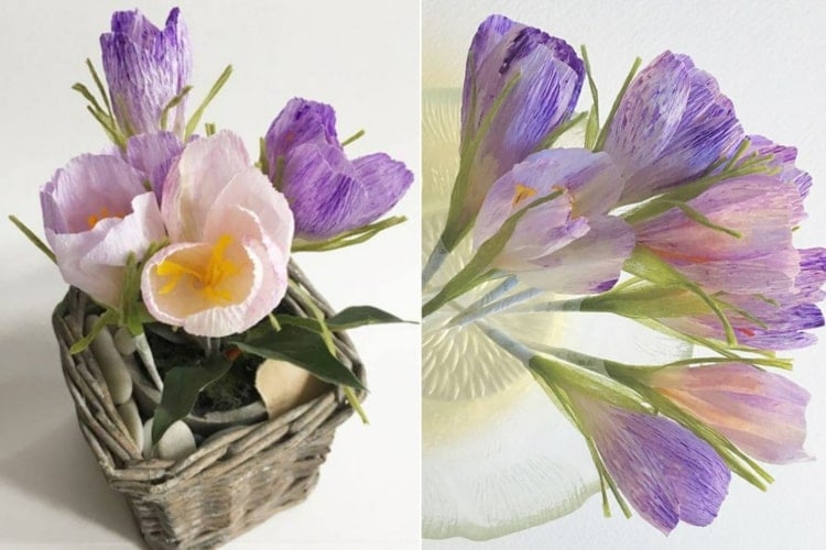 Krokusse als Blumen aus Krepppapier basteln im Frühling in lila