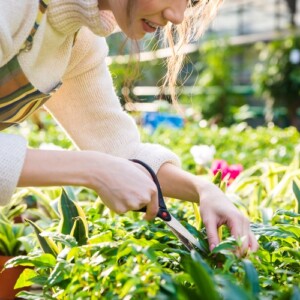 Sonne tanken beim Gärtnern gesund Vitamin D