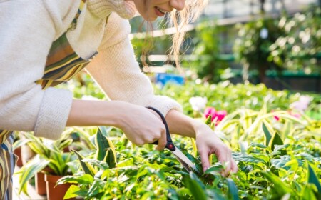 Sonne tanken beim Gärtnern gesund Vitamin D