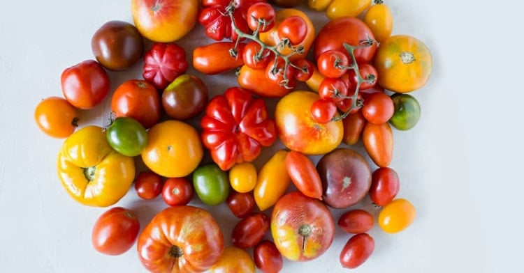 Tomaten essen und Appetit hemmen gegen ungesunde Snacks