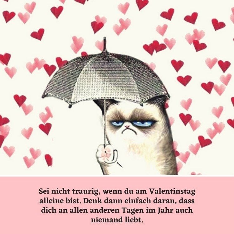 Valentinstag Sprüche sarkastisch grumpy cat