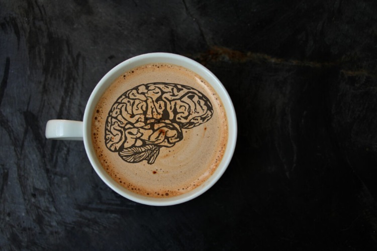 koffeinhaltige getränke wie kaffee können die gehirnstruktur verändern
