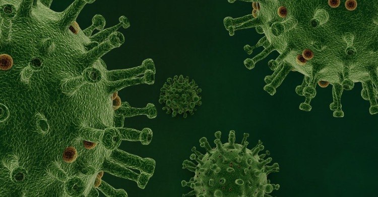 spike proteine und oberfläche des neuartigen coronavirus in grün dargestellt