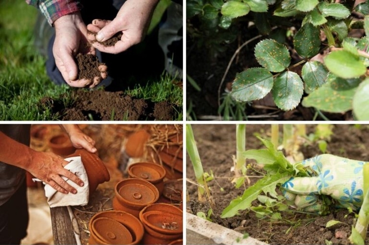 Essig im Garten anwenden Tipps für den Hobby Gärtner