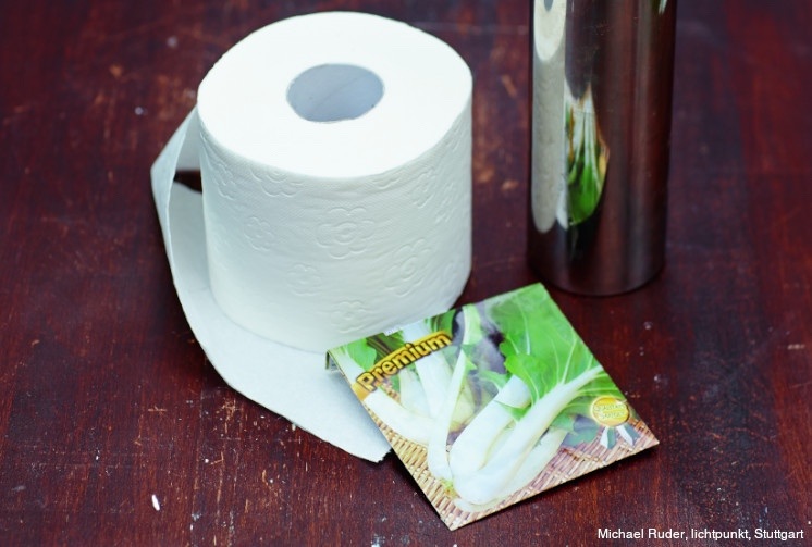 Garten-Lifehacks zum Aussaen - Samen in Toilettenpapier