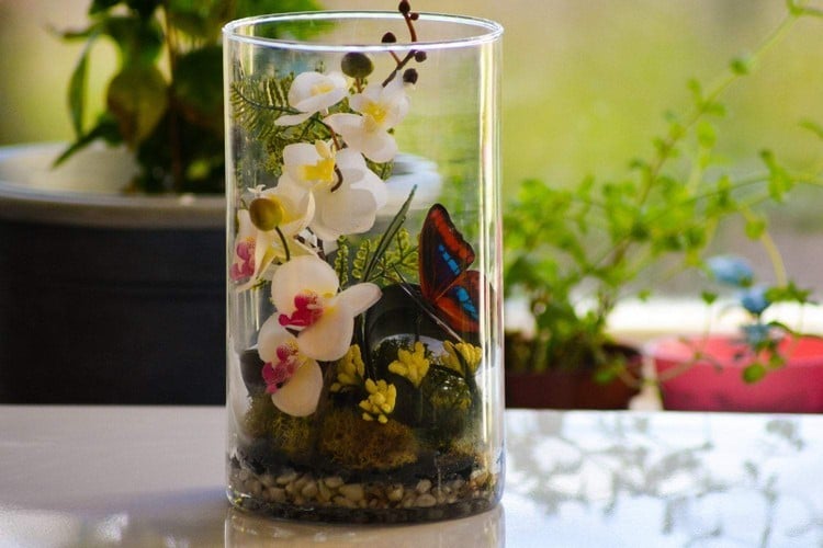 Mini Orchidee im Glas Tipps zum Pflanzen und möglichen Kombi-Partnern